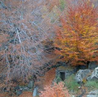 qua Rocca19-11-2017 16-13-19